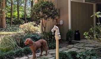 805 Old Mill Ct, Ball Ground, GA 30107