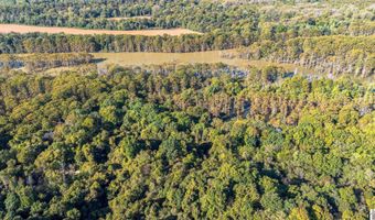 County Road 1320 lot Between County Roads 1324, Bardwell, KY 42023
