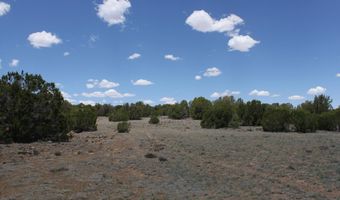 N8190, Concho, AZ 85924