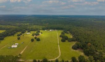 2889 67th Ct, Bell, FL 32619
