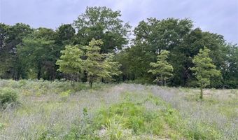 Lot 25 Rains County Road 2610, Alba, TX 75410