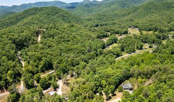 1064 Pinedale Ln, Andrews, NC 28901