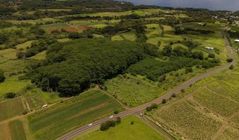 AKAKA FALLS ROAD, Honomu, HI 96728