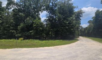 SW 47TH LANE, Bell, FL 32619