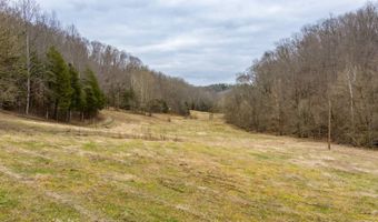 Willis Creek Rd, Albany, KY 42602