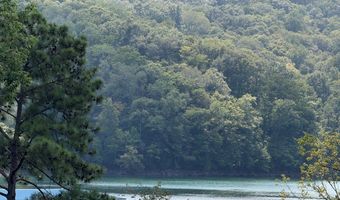 955 Livingston Boat Dock Rd, Allons, TN 38541