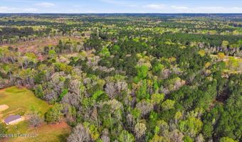 Harrisville Braxton Road, Braxton, MS 39044