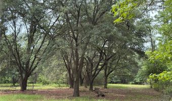 Tbd NW 67TH BOULEVARD, Alachua, FL 32615