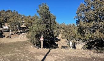 132 White Tail Pl, Arboles, CO 81121