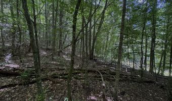 TBD Paint Fork Rd, Barnardsville, NC 28709