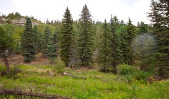 22954 Mt. Elbert Dr, Aguilar, CO 81020