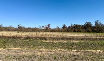2 5 Acres GarrettRoad, Ashford, AL 36312