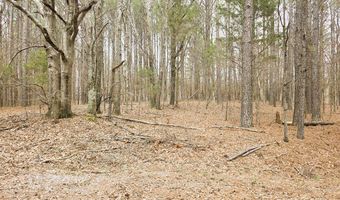 Zig Zag, Big Sandy, TN 38221