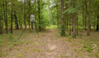 6334 State Highway 182, Alba, TX 75410
