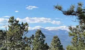 141 Afv N Back Basin Rd, Angel Fire, NM 87710