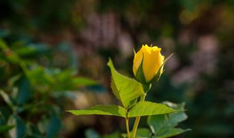 927 CAMINO VISTA RIO, Bernalillo, NM 87004