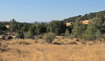 9606 Spring Hill Ranch Rd, Angels Camp, CA 95222