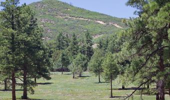 28111 County Rd 41.4, Aguilar, CO 81020