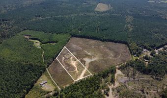 Lot 5 State Highway 790, Ackerman, MS 39735