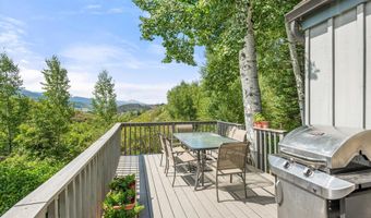 927 Red Mountain Rd, Aspen, CO 81611