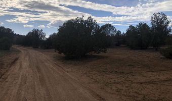 302-17 306 Haywire Rd, Ash Fork, AZ 86320