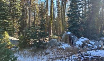 550 Cabbage Patch Log Rd, South Lake Tahoe, CA 95223