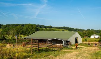 6152 County Road O-527, Ava, MO 65608