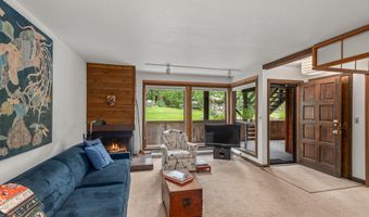824 E Hopkins Ave 102 and 202, Aspen, CO 81611