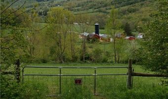 2400 Gladstone Hollow Rd, Andes, NY 13731