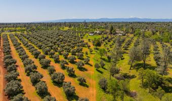 16770 Scout Ave, Anderson, CA 96007