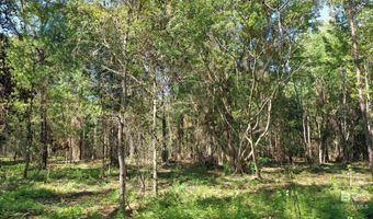 Lot 1A Harris Street, Atmore, AL 36502