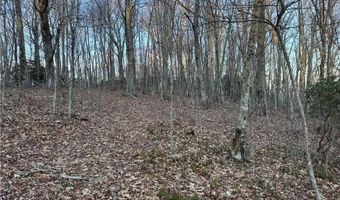 Tbd Pigeon Roost Road, Banner Elk, NC 28604