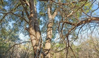 Fm-1304, Aquilla, TX 76622