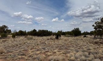 137 N5525, Concho, AZ 85924