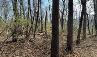 SHANKTOWN Road lot 10, Big Pool, MD 21711