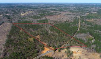 0 Adams Road - Lots 1 & 2 Lots, Bankston, AL 35542