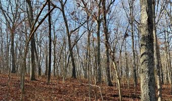 Farm Rd 1187 Lc, Ash Grove, MO 65604