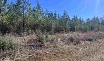10 Robinsonville Rd, Atmore, AL 36502