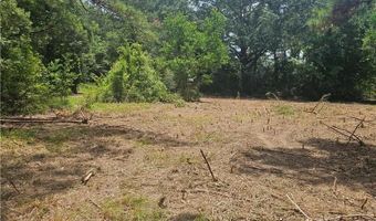Lot A- Vining Road, Amite, LA 70422
