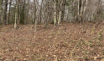 Tbd Old Mountain Road, Banner Elk, NC 28604