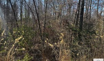 TBD Bassett Heights Ext, Bassett, VA 24055