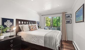 100 E Dean St 2D, Aspen, CO 81611