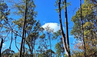 0 Mount Horeb Rd, Amherst, VA 24521