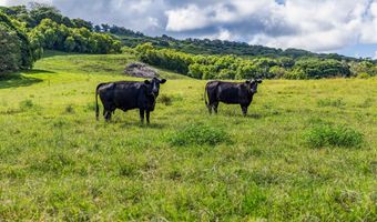 Hana Hwy, Hana, HI 96713