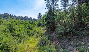 554 Pine Spring Dr, Bayfield, CO 81122