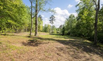 LOT 32 ROCK CREEK PENINSULA, Arley, AL 35541