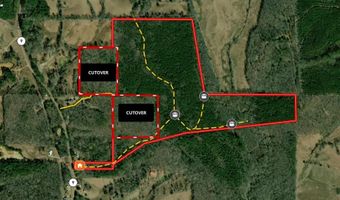 HWY 9, Banner, MS 38913