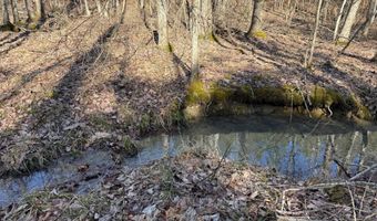 MOUNTAIN CUT RD lot C, Appomattox, VA 24522