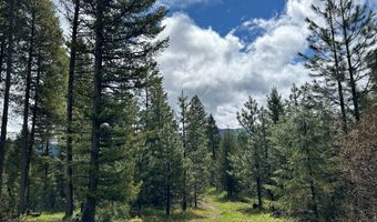 27 Sawtooth Loop Lot 23, Cascade, ID 83611