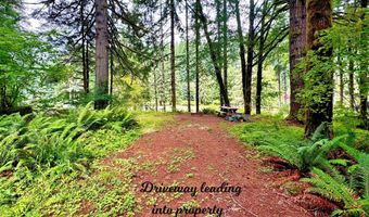 9965 BEACH Dr, Birkenfeld, OR 97016